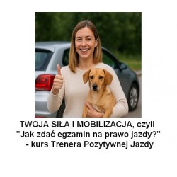Jak zdać egzamin na prawo...